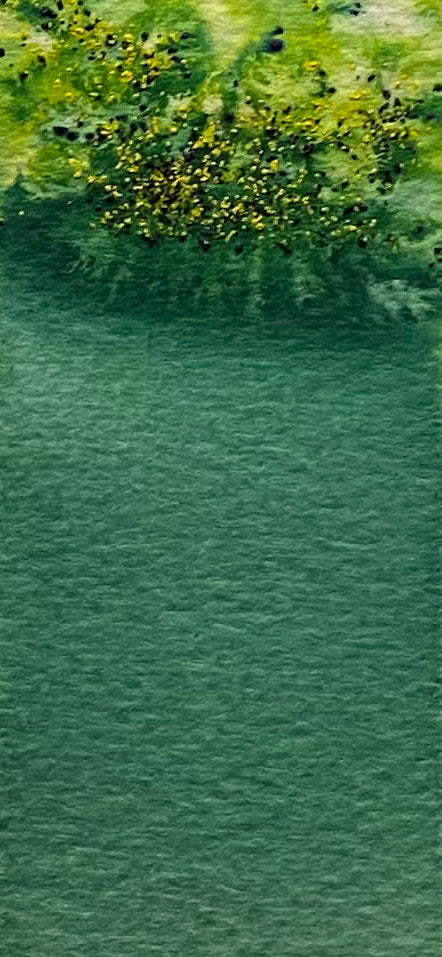 Dark Green - Jackman's Art Materials