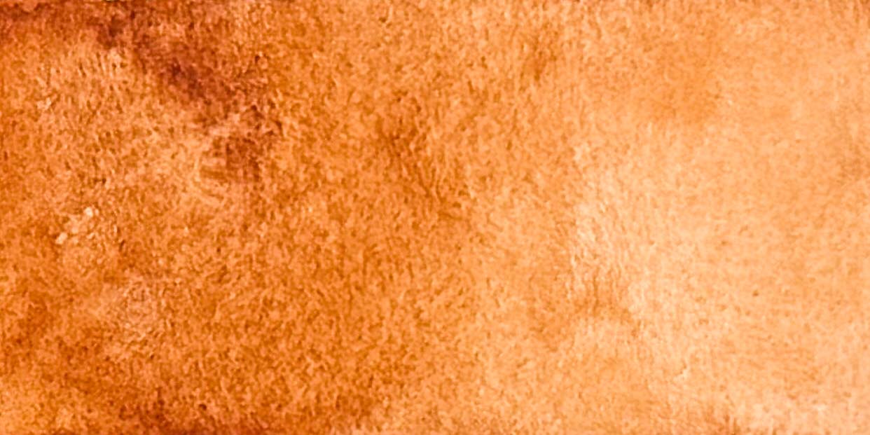 Autumn Foliage - Jackman's Art Materials