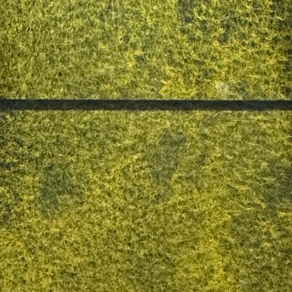 Rainforest Green