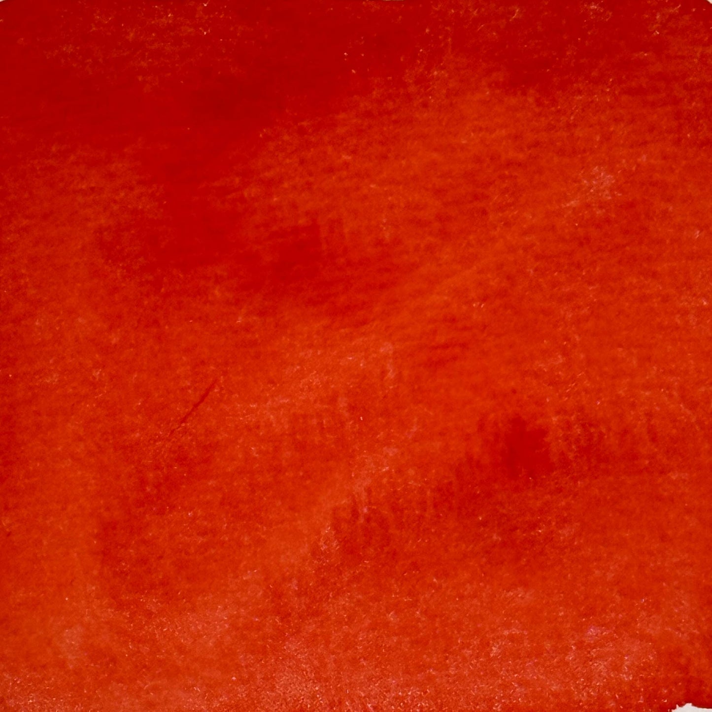Pyrrole Scarlet - Jackman's Art Materials