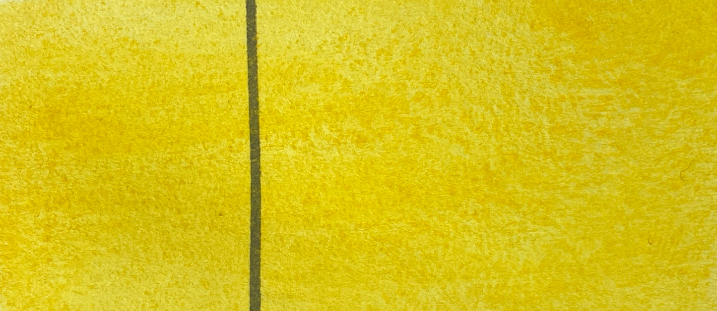 Cobalt (Aureolin) Yellow - Jackman's Art Materials