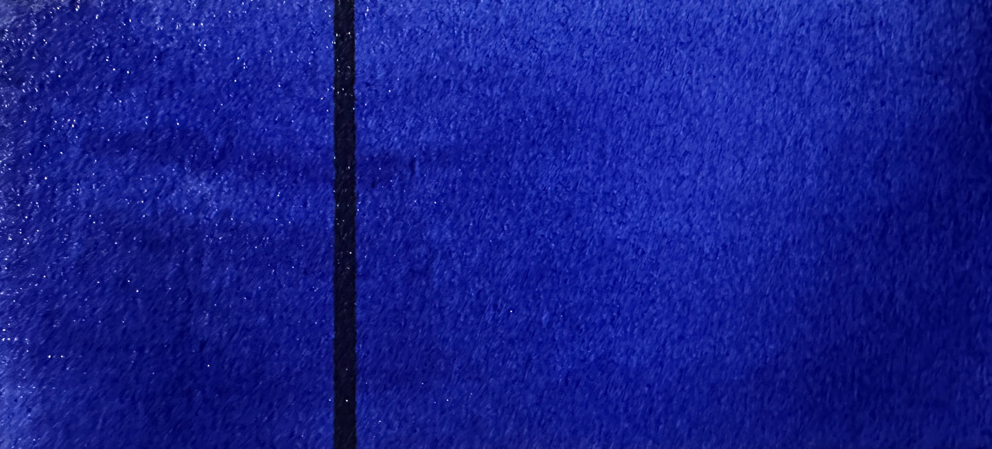 Delphinium - Jackman's Art Materials