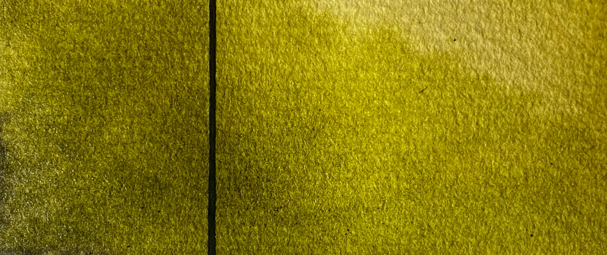Forest Shadow - Jackman's Art Materials