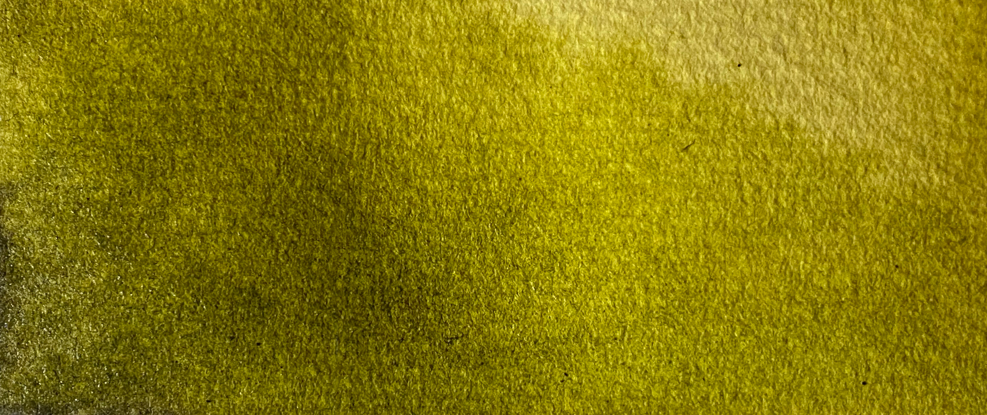 Forest Shadow - Jackman's Art Materials