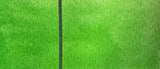 Fresh Green - Jackman's Art Materials