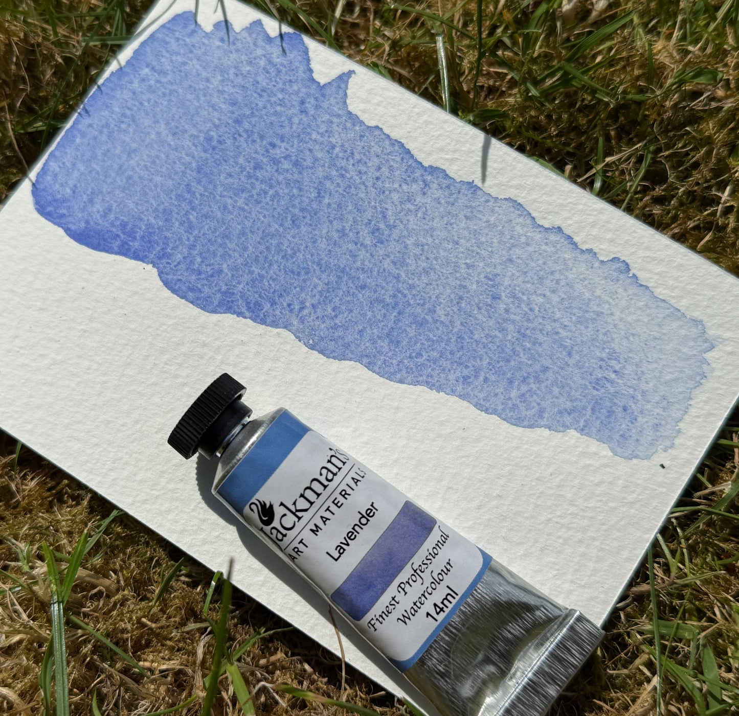 Lavender - Jackman's Art Materials
