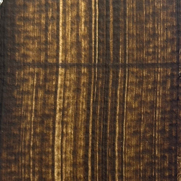 Raw Umber Artist Acrylic