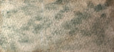 Moss Stone Green