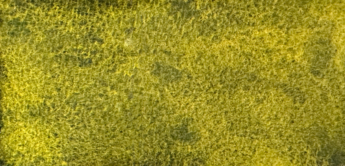 Rainforest Green - Jackman's Art Materials