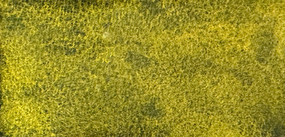 Rainforest Green - Jackman's Art Materials