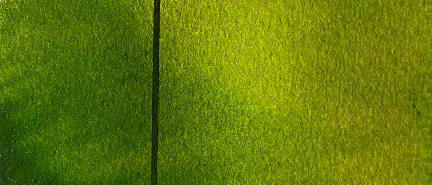 Sap Green - Jackman's Art Materials