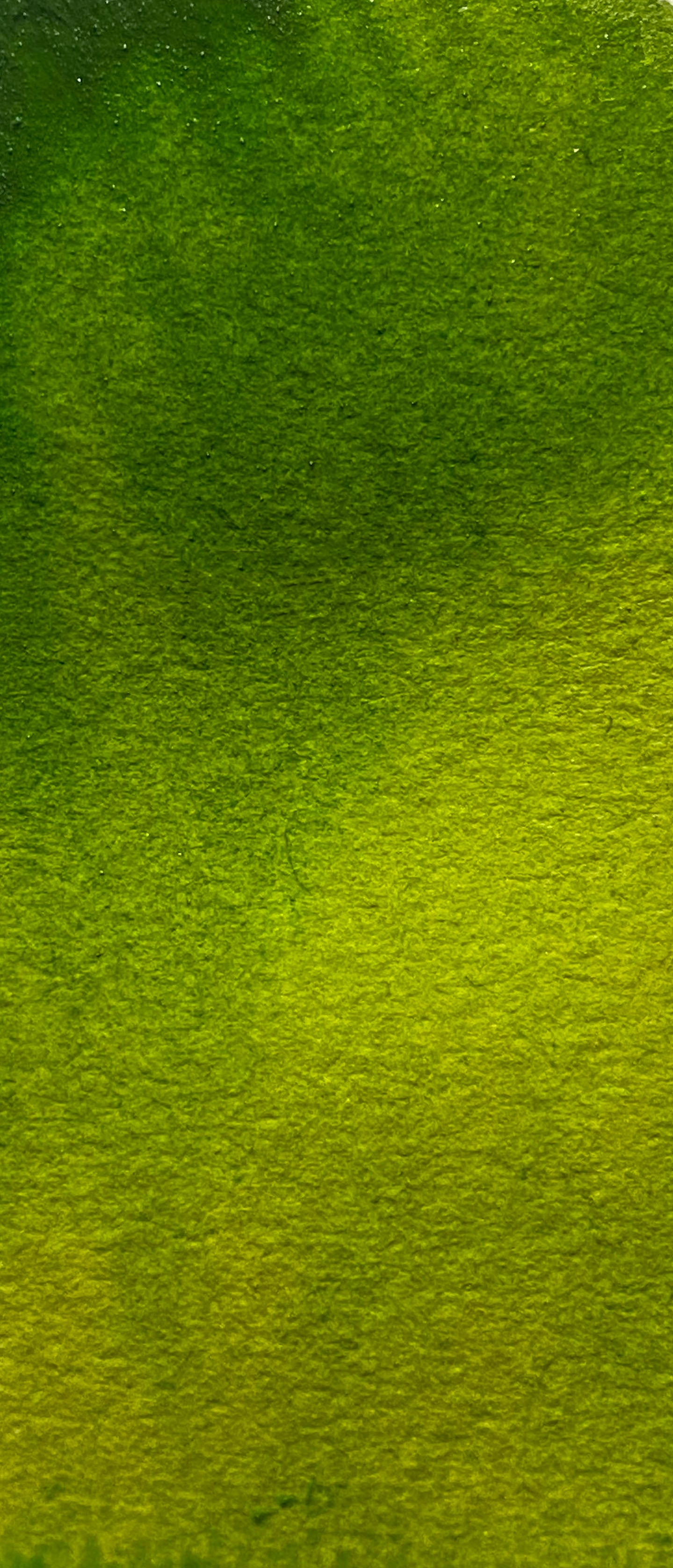 Sap Green - Jackman's Art Materials