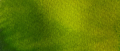 Sap Green - Jackman's Art Materials