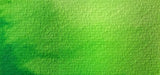 Spring Green - Jackman's Art Materials