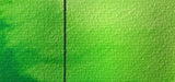 Spring Green - Jackman's Art Materials