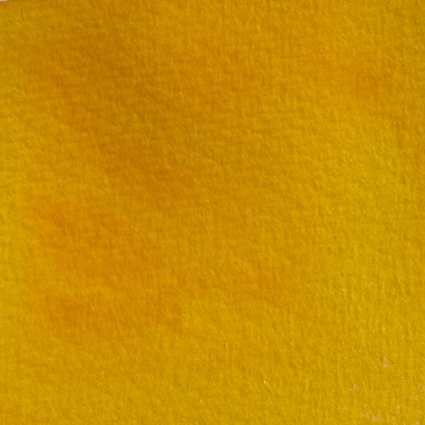 Isoindolinone Yellow - Jackman's Art Materials