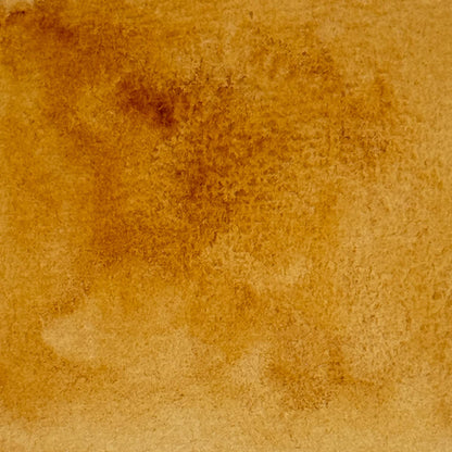 Autumn Foliage - Jackman's Art Materials