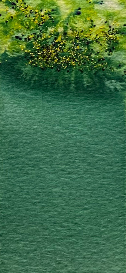 Dark Green - Jackman's Art Materials