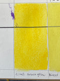 Cobalt (Aureolin) Yellow - Jackman's Art Materials