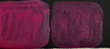 Pearlescent Pink Shimmer Pearlescent Watercolours - Jackman's Art Materials
