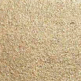 Pearlescent Gold #2 Pearlescent Watercolours - Jackman's Art Materials