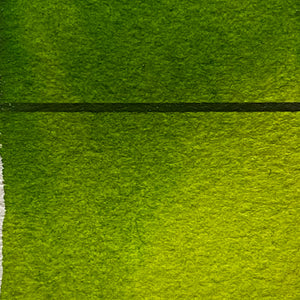 Sap Green - Jackman's Art Materials