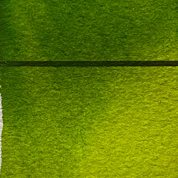 Sap Green - Jackman's Art Materials