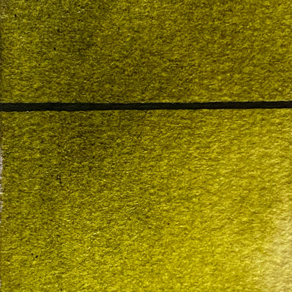 Forest Shadow - Jackman's Art Materials